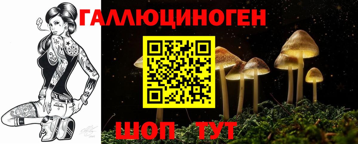 Галлюциногенные грибы Psilocybine cubensis Изобильный